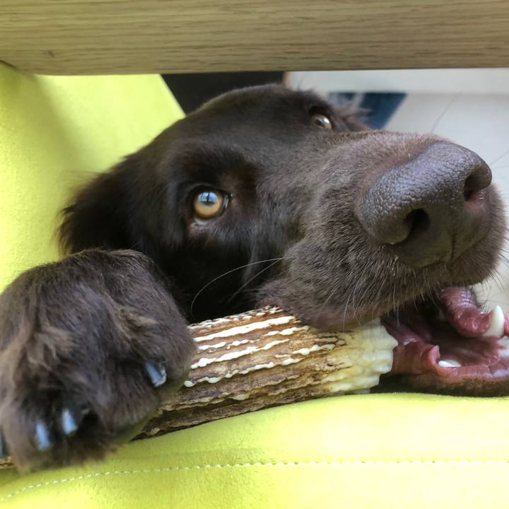 448446d3 43f2 4746 8ebf 7d5f522ab7b3 1588044474209