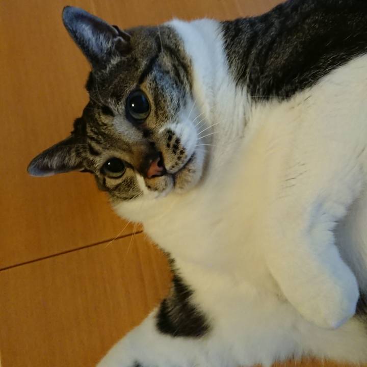 44844d0c 5d74 40c9 ad3c 5a49a7bcc4a0 1561638590560