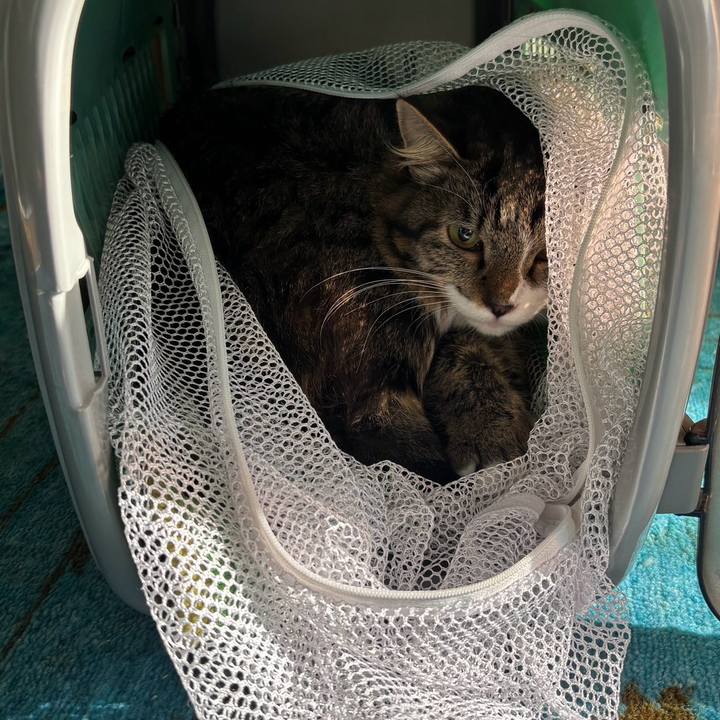 44846ed4 3e0c 4cdb 99e7 6a3a5970c85e 1734400564523