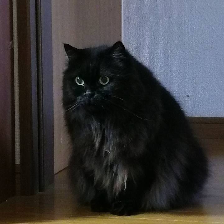 44849a71 1bd5 495e 8885 9a61a5f2d89f 1544243142160