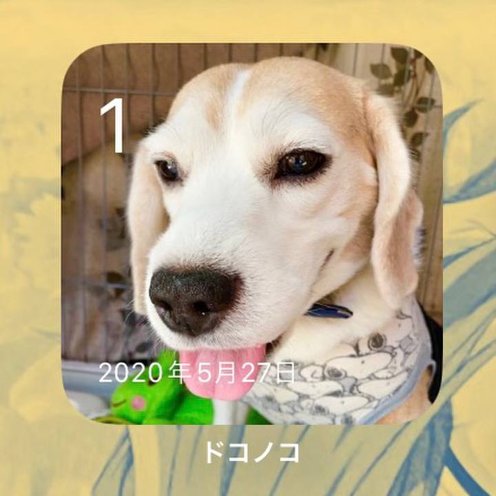 4484a57c f91a 4abe a125 64c0b6a6bf48 1685578360554