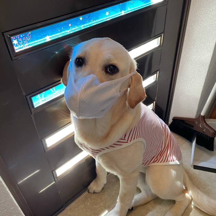 4484b815 f309 4a19 b08b d79f56c43456 1622509464775