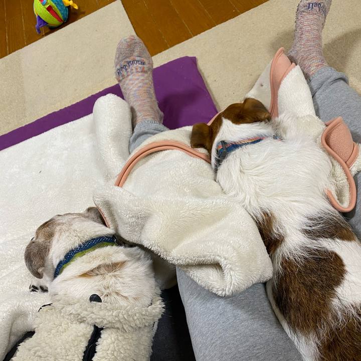 4484cdca c864 44e0 bf69 3f40aa934e1f 1706793391984