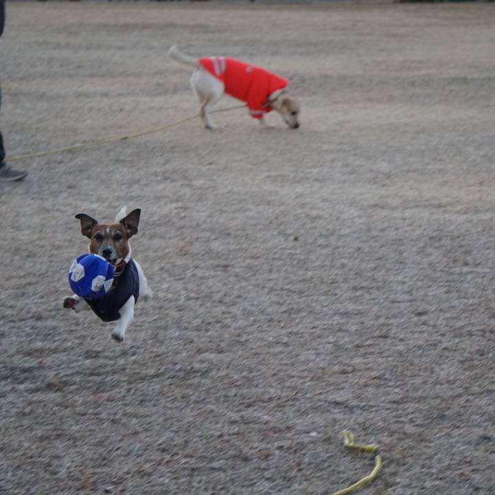 4485399f 5c8e 4e65 944a 2964d907983c 1609715972877