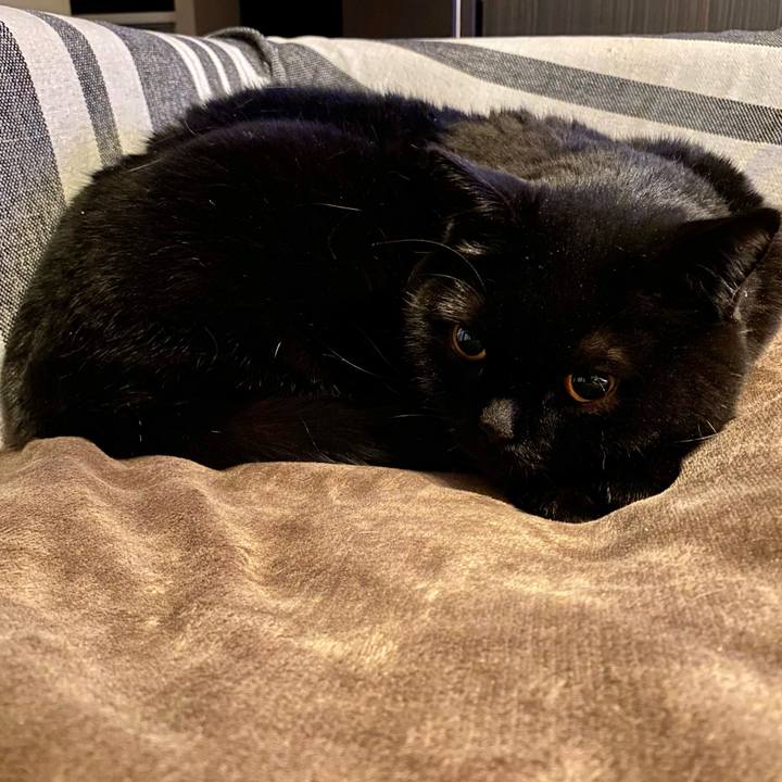 448557b5 5e29 438a a2ea 835941adb624 1773751745151