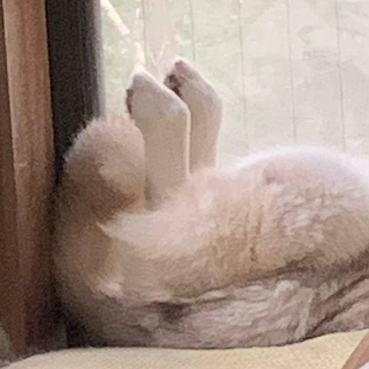 448570d6 223f 4d22 85e3 03ea5ef128b7 1632098576333