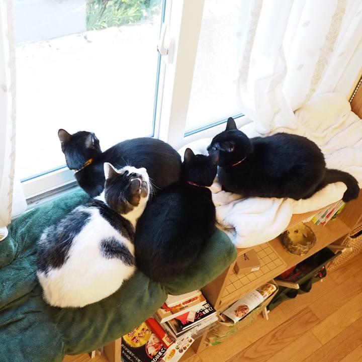 44858d13 6694 4830 af39 25dd5bf6f9c8 1545176600210