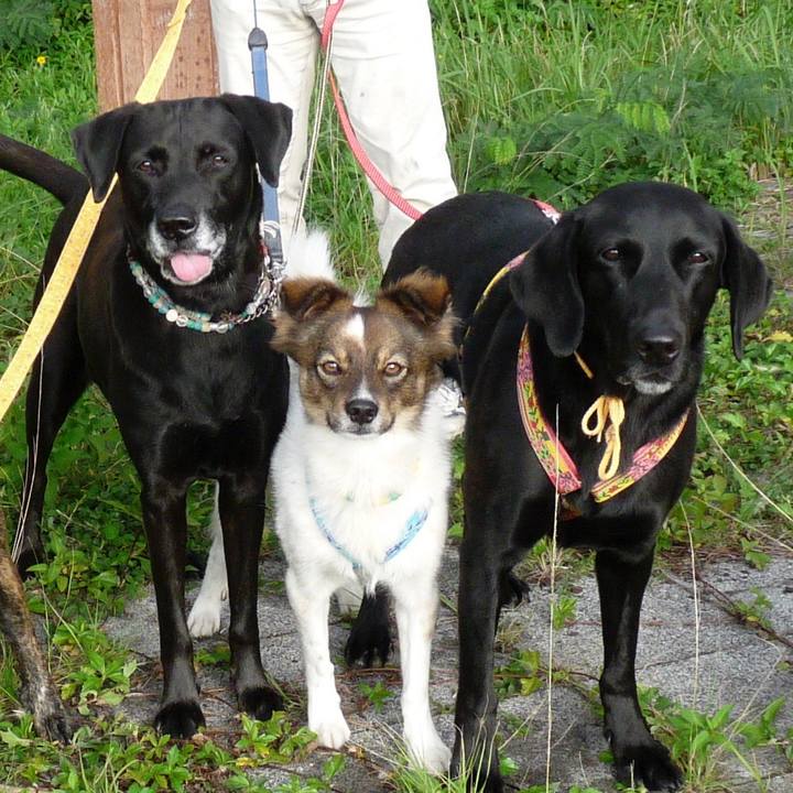 4485e1a0 5821 4f3e 8459 4b5421f30ffb 1640875747410