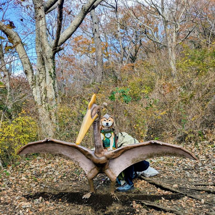 4485e746 0a93 4ee4 ac1e 0786982b3a8a 1766120449325