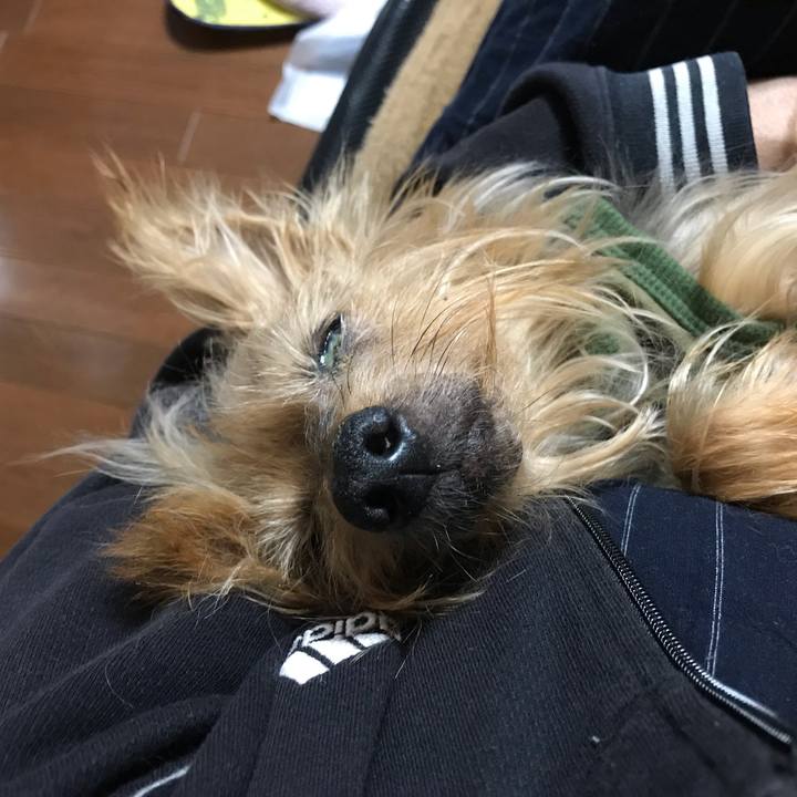 44860dbe 4abe 4c07 82b1 364f0ee76347 1542114481668