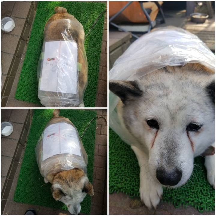 44863d5b 7d75 41a1 8e26 162846f8f67e 1710714596541