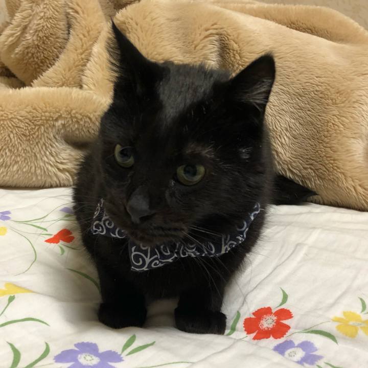 448655bd e289 4b26 9b98 458ab6b04507 1576669026859