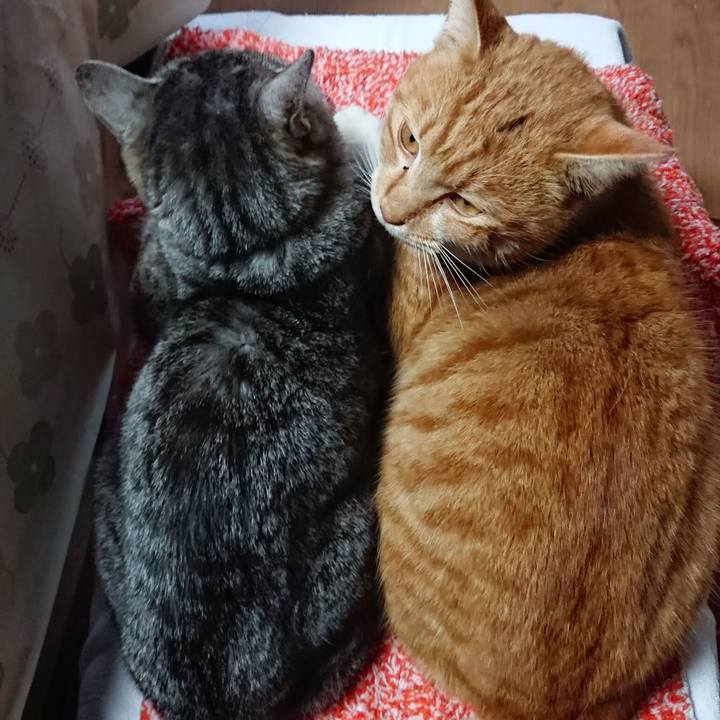 448668c7 dc7f 4864 a655 9def8dff11f4 1550751517708