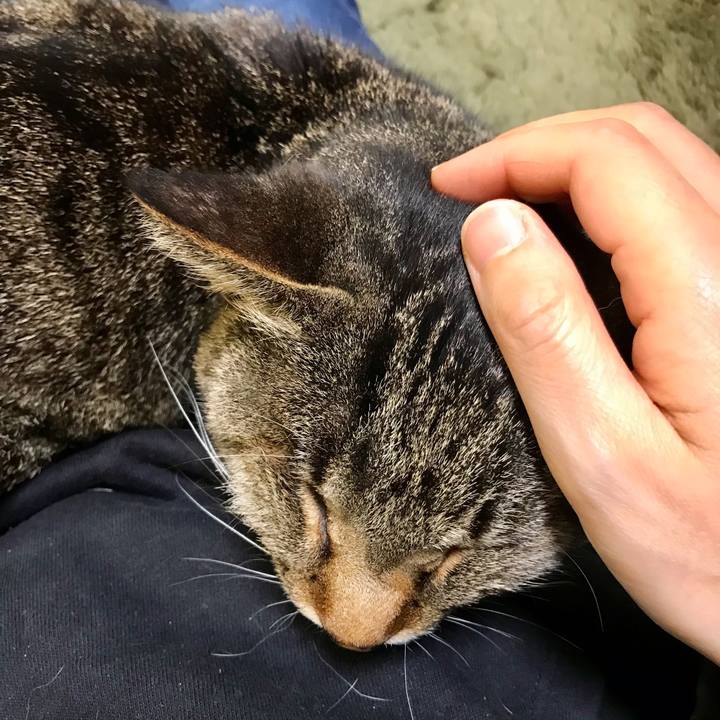 44869c9e 177d 426a b26b c431b668c2b5 1616915637302