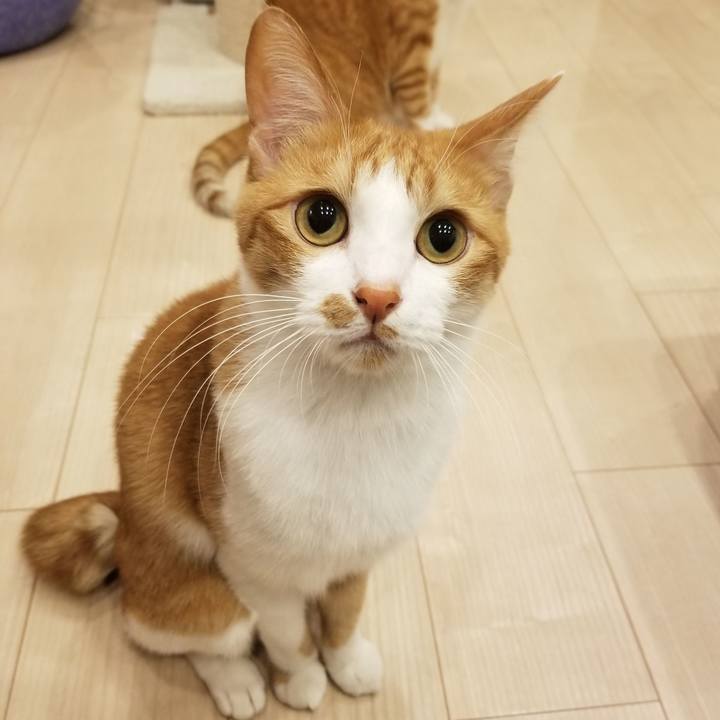 4486b3a8 ee3b 457e a54b b7a73340be5e 1590546499254