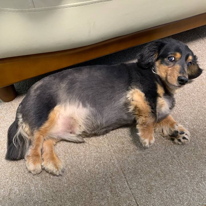 4486eecc fda7 4c5c bedb ef963be2d968 1587186588700