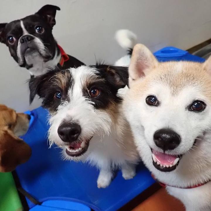 44873519 d5e6 4f90 a15d 23eed2ea1df7 1740681956326