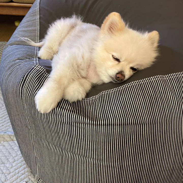 44875d25 6f3f 4c9a a0e7 4695f24010de 1680045606959