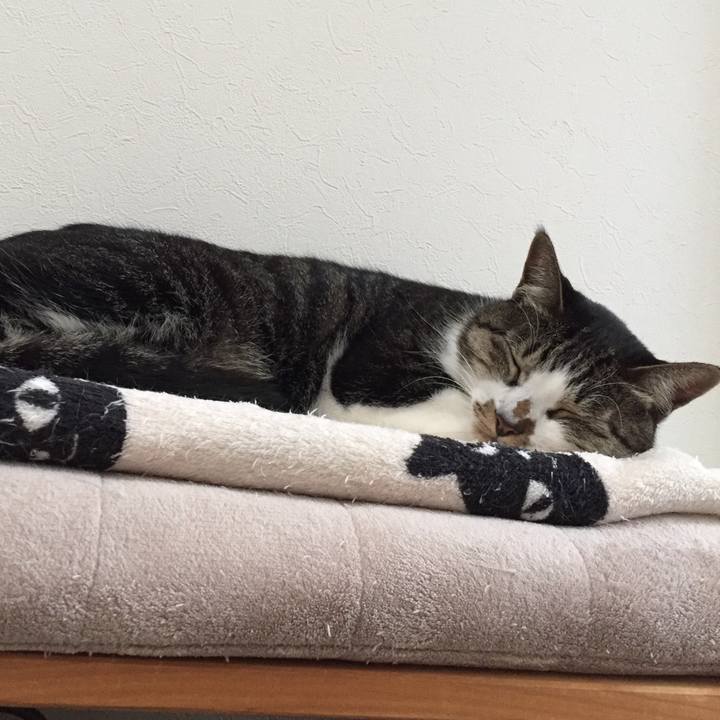 4487996c 1a30 42c5 9f87 b93a8ed12ea8 1509433471368