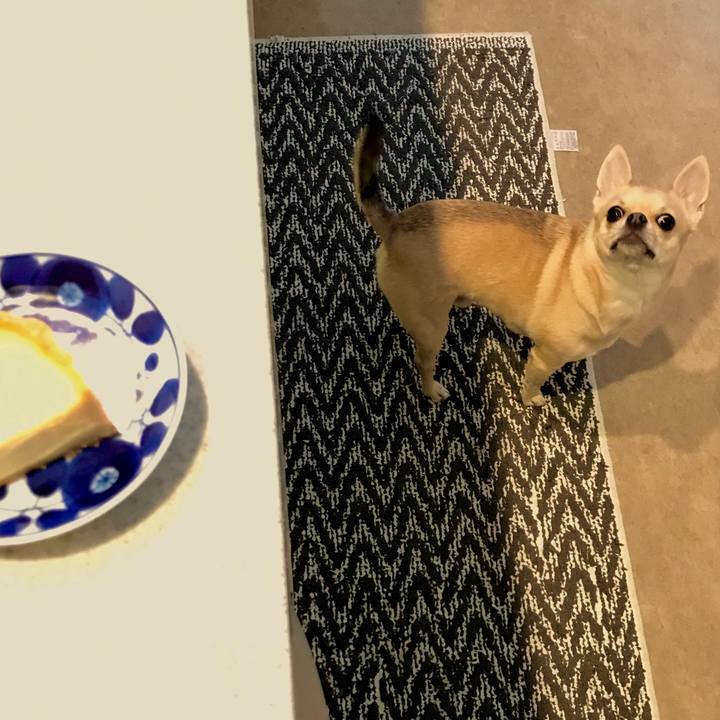 4487b1ac 8920 40f3 a133 3dd1ff0b0865 1551776961286