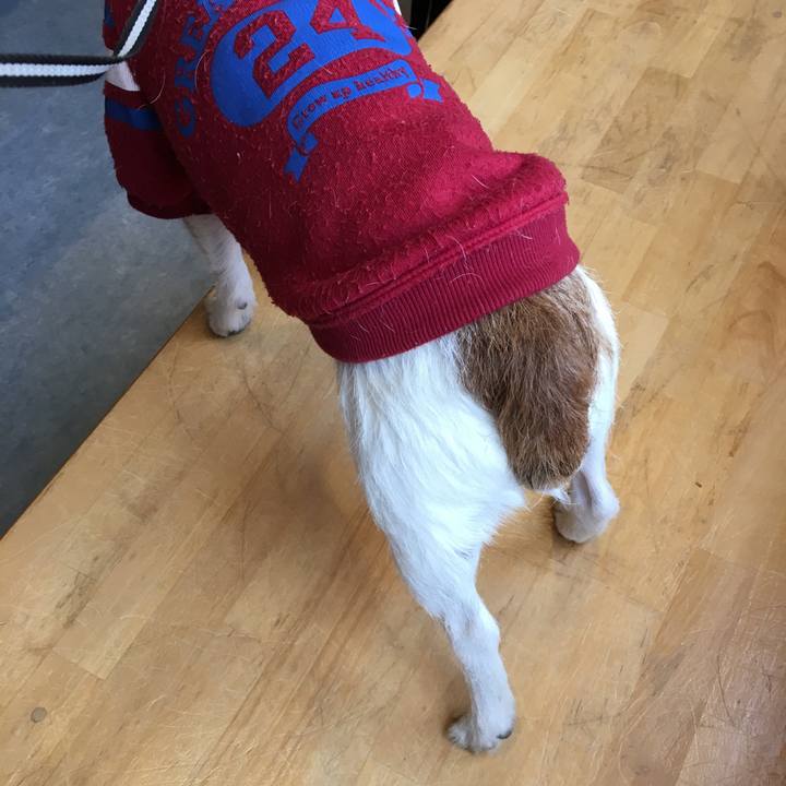 4487e551 0d3e 4f85 a026 d573037421a5 1555487620066