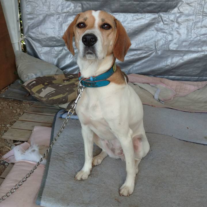 448822b6 126a 467e 8d34 7c7d0514bc40 1603762988053