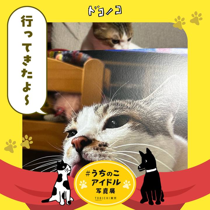 4488532f 8f09 4609 879b 442854c37bff 1762069798014