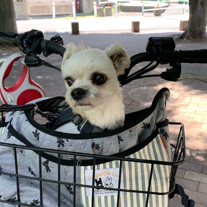 44885ca6 20d9 4740 940e f1c7e5b3698e 1559219679413