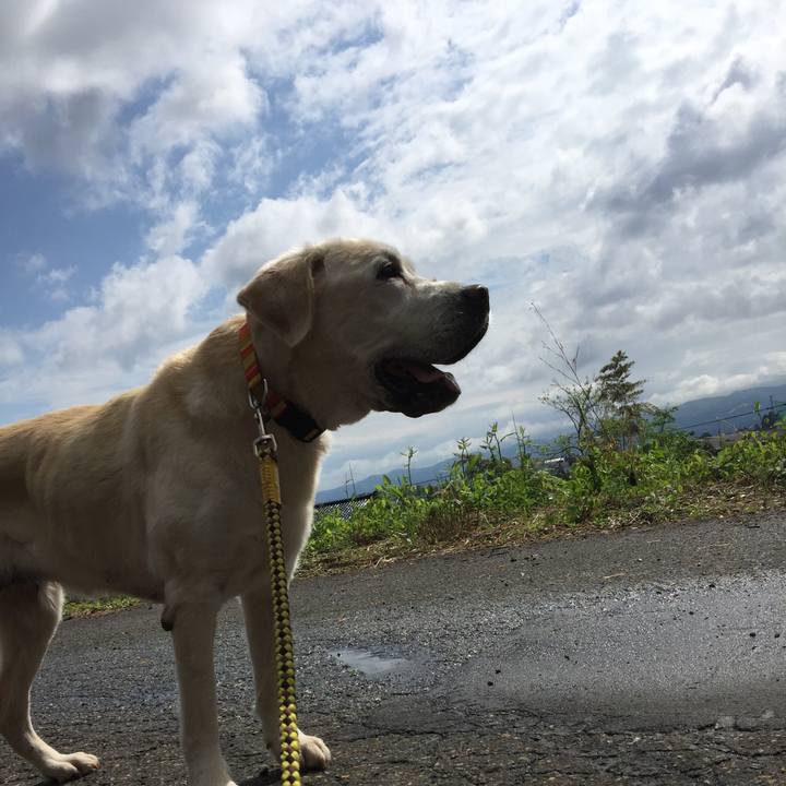 4488ac8b 942e 4ead ac09 0c687a05c94b 1525394601826