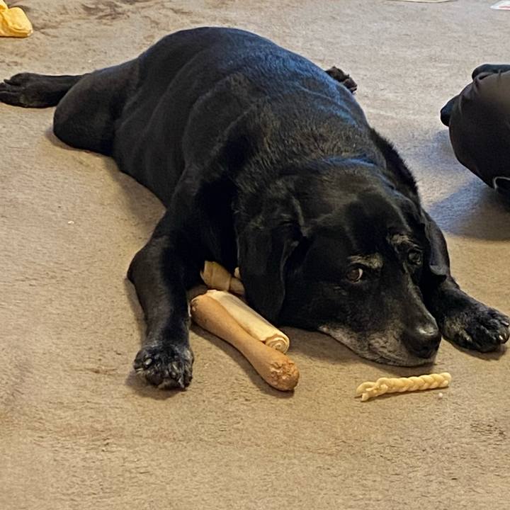 4488b4f3 a48e 493c 92f1 088a1aeb3426 1645230799943