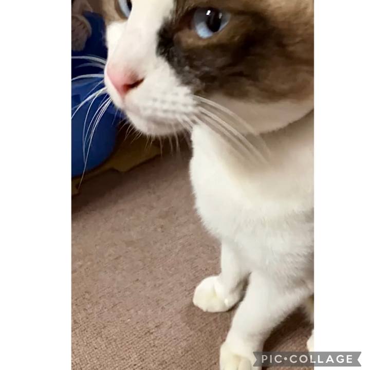 4488bd52 acdf 491f 81dd 7a06a9e8026d 1728380494522