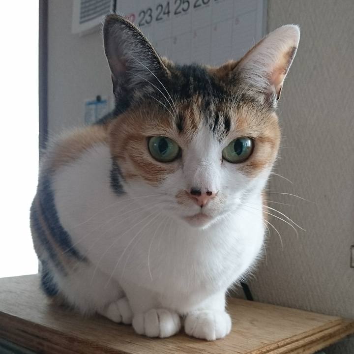 4488d482 2f4b 4807 8a5c 1ef21983ba46 1525563112790