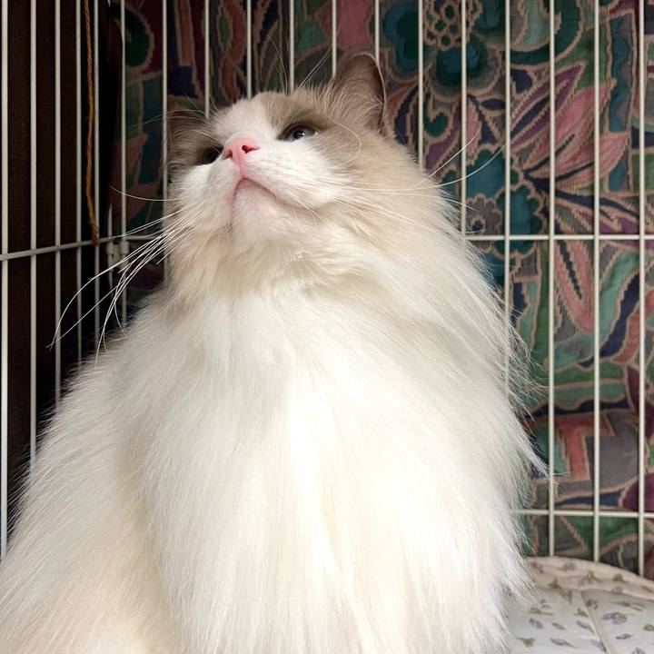 4488ddbb b553 46f8 a6bf b4ff744cce64 1675328553230