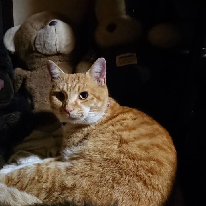 4488ef94 5e03 45c8 ab05 b54d83aa0d89 1605786611935