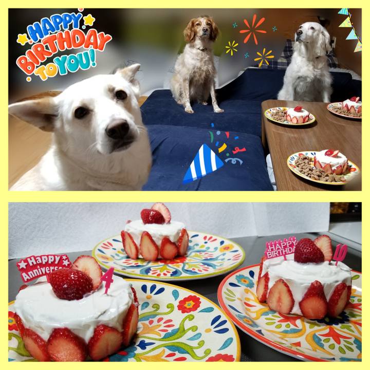 44891de5 79ba 40a6 b7bf 7b91c891721e 1678622818280