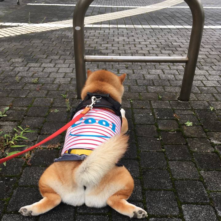 4489307e 8ec3 4ffa a9d2 ed54bff46cd0 1594375773803