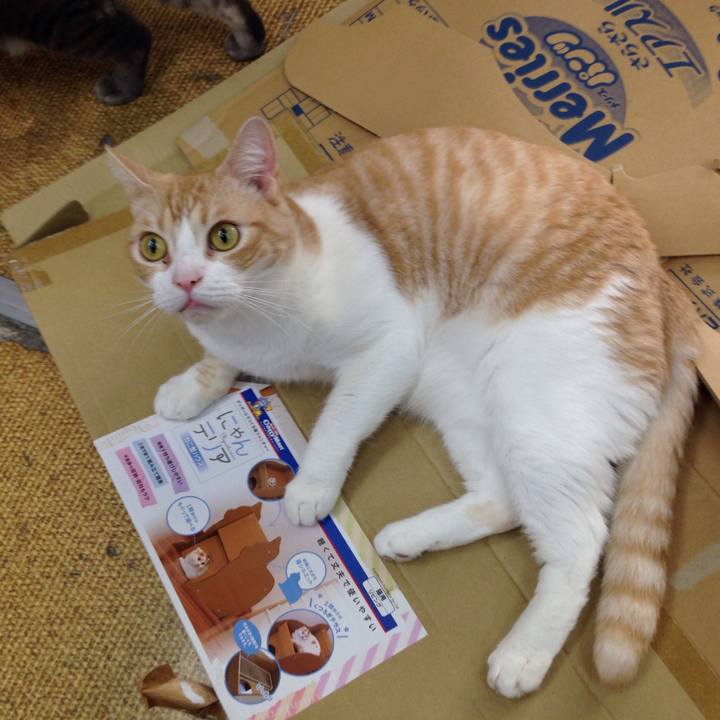 44895092 af5f 45bf 8a16 e42d60ba01d1 1509417624661