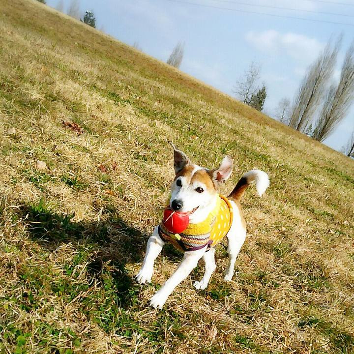 448970e3 9a25 43a5 baf6 c122fe580e4d 1516521820048