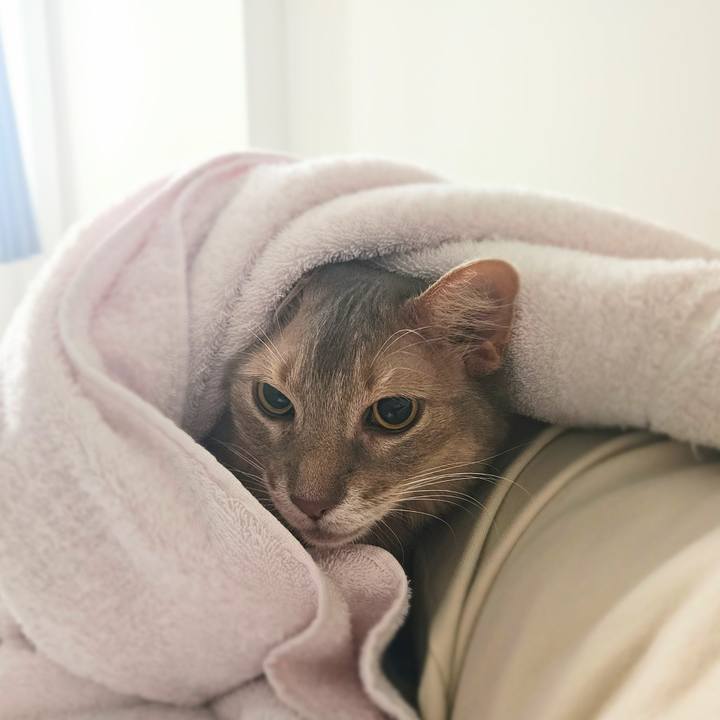 4489a46e 0e23 4ca8 a7aa 3d9d9037b052 1753605235182