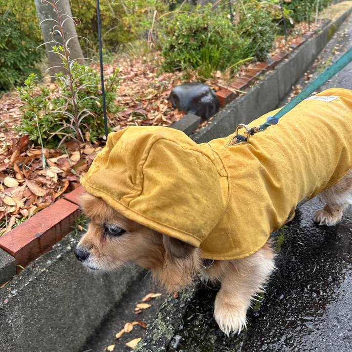 4489fb39 1bc3 4010 8b66 085a60914aa5 1733617964142