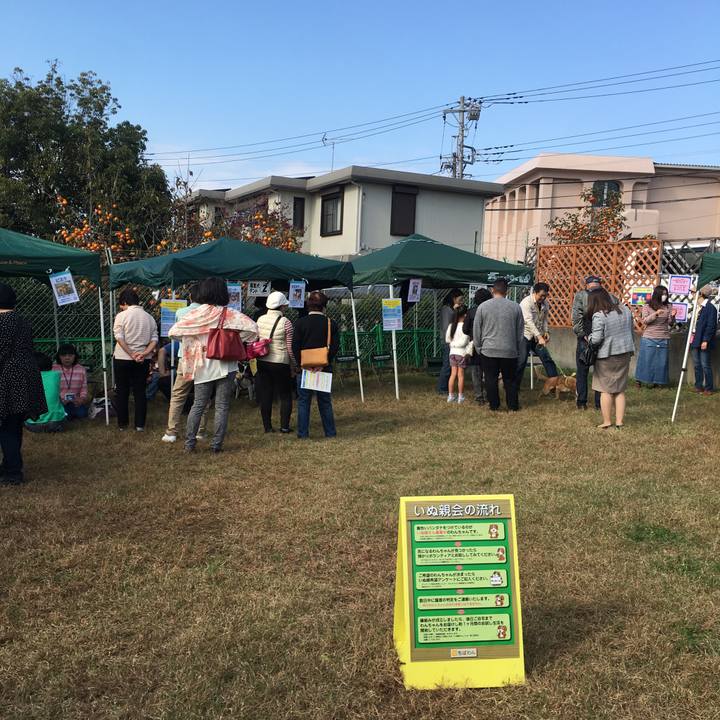 448a2fad 3841 4fd8 8d1c a895b36cb79e 1541938856396