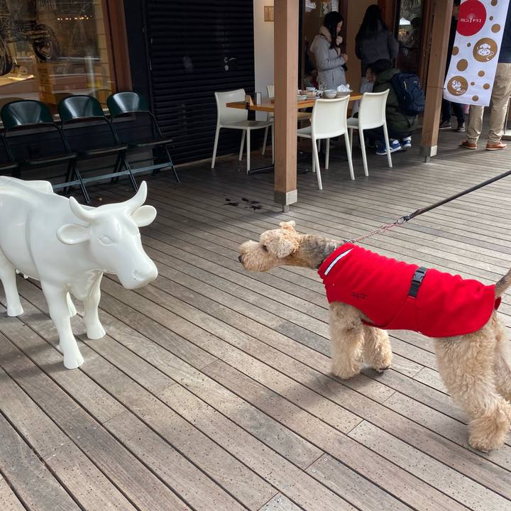 448a347a 7209 4a44 b8fe 25e186a6c823 1577798255968