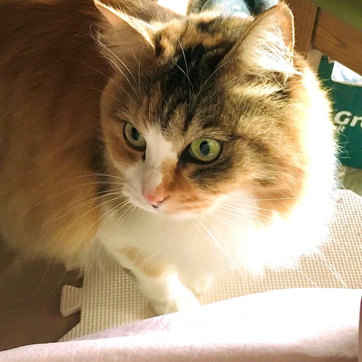 448a40f7 f1f4 4228 b6fd 103d7654c2fb 1614061921731