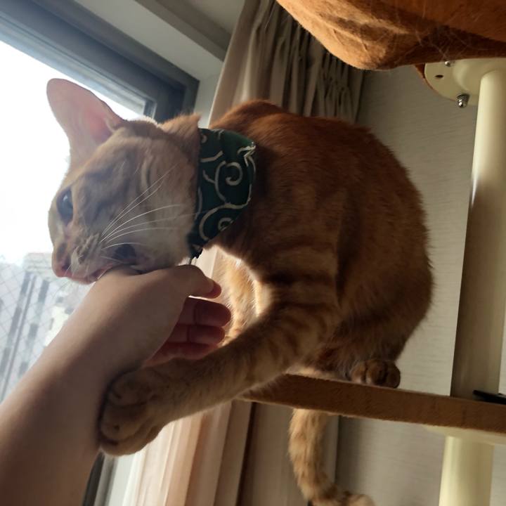 448a4783 0427 4b55 b6a3 f59a69139658 1629883989464