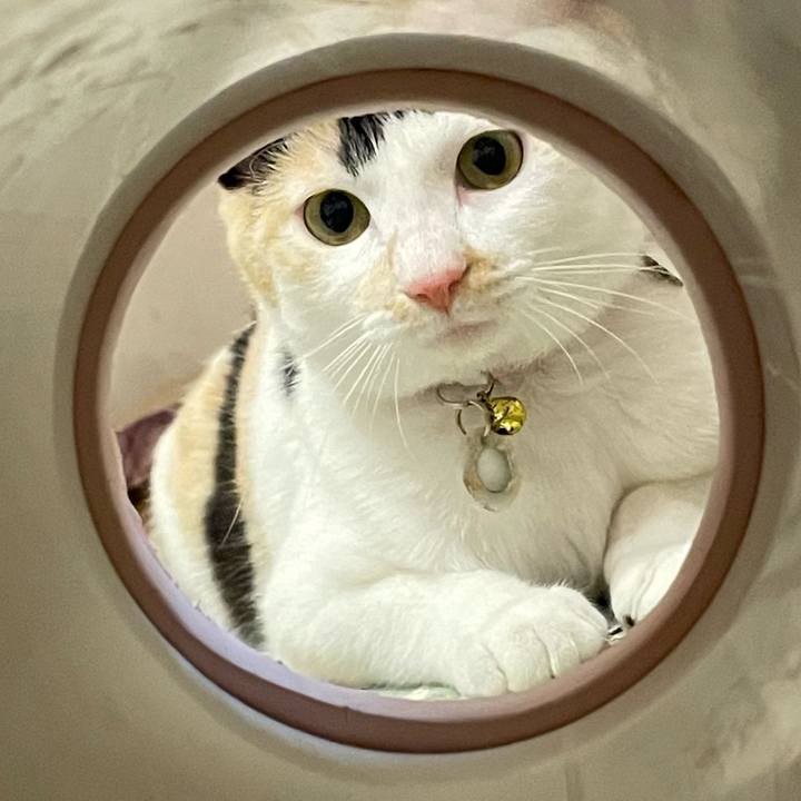 448a594f d397 42a7 8cdb 29184e5971c6 1674392815848