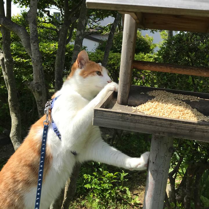 448a7027 9be7 4a65 a7d7 a98ce40160ca 1527224571680