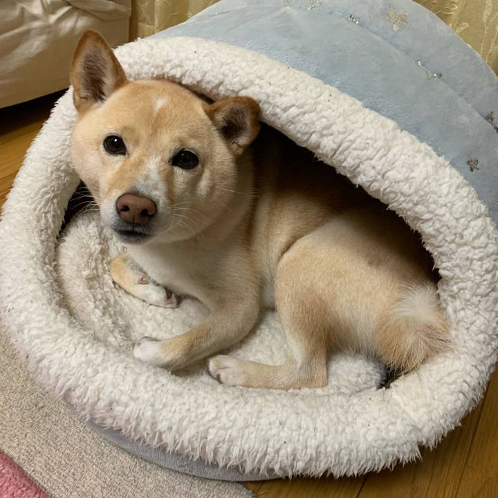 448a7c56 f258 4c71 9d56 24dd84295402 1636453409655