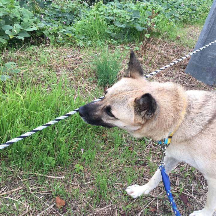 448ac6cf bde3 4594 b08b 8cf425f9db2a 1507972750833