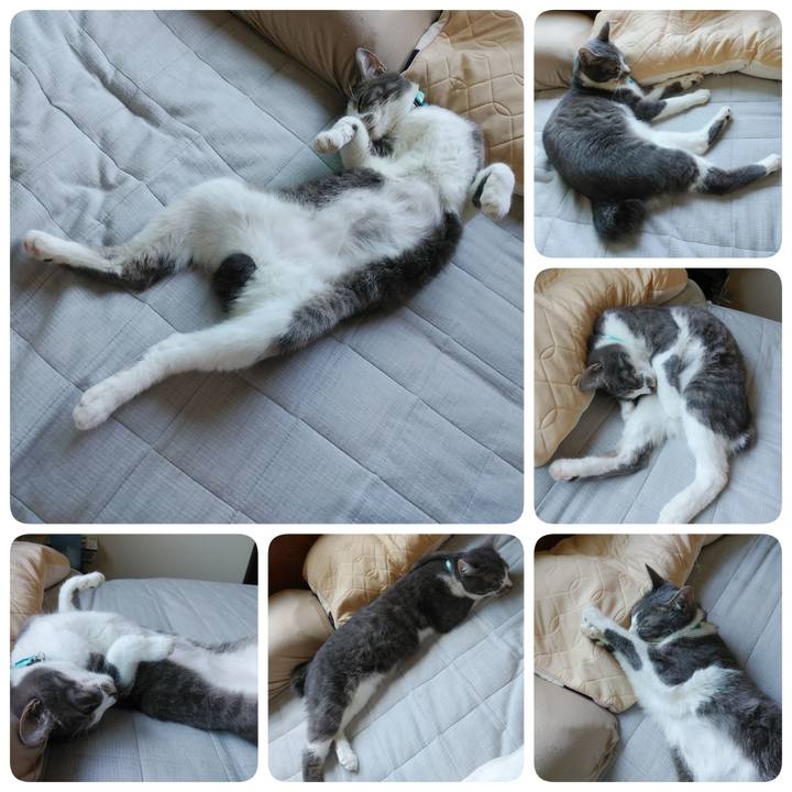 448adc74 c7a0 4a40 b5f5 e2f56d300fd3 1590720895960