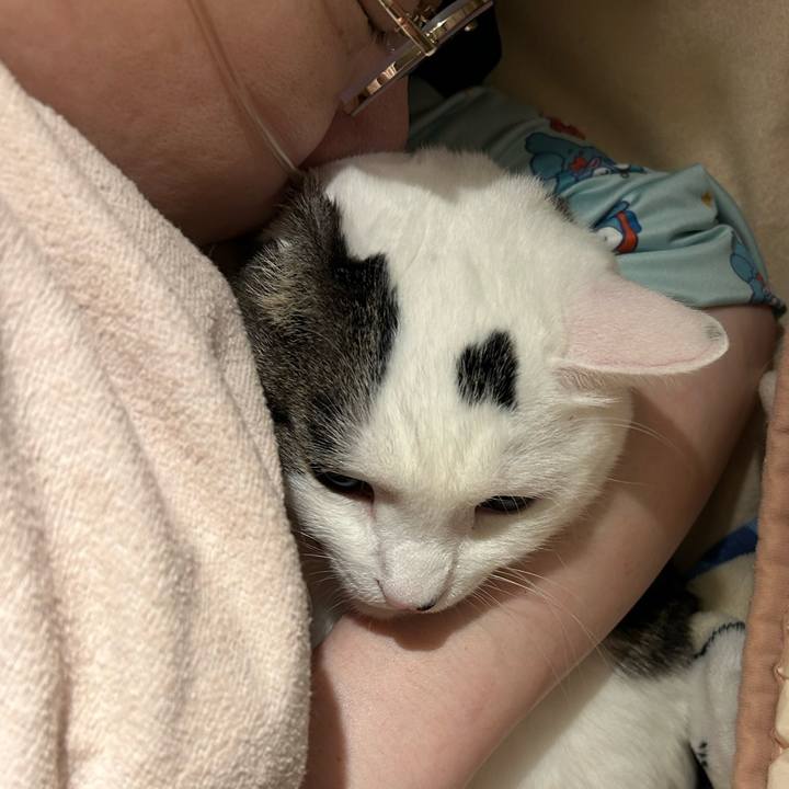 448af21c d966 48f8 b6db c0c72262a128 1761667433273